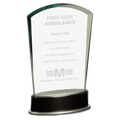 Jade Fan Metro Glass with Silver and Black 8 3/4