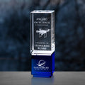 Oakley Indigo Award 6-1/2