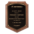 Walnut Plaque with Gold Border Laserable Black Brass 11