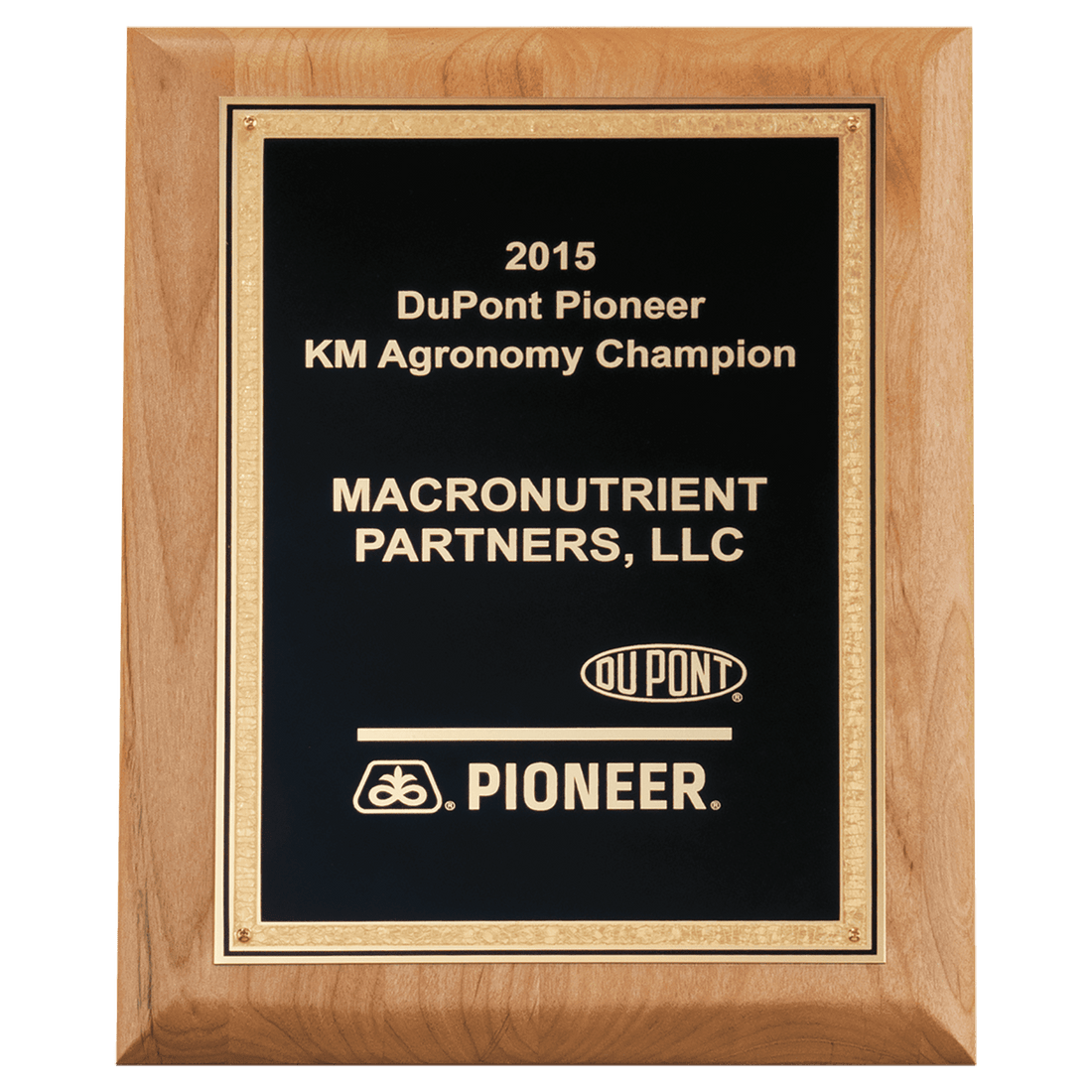 Alder Wood Plaque with Black Textured Gold 8" x 10" Natural Florentine Bordered LaserFX Plate