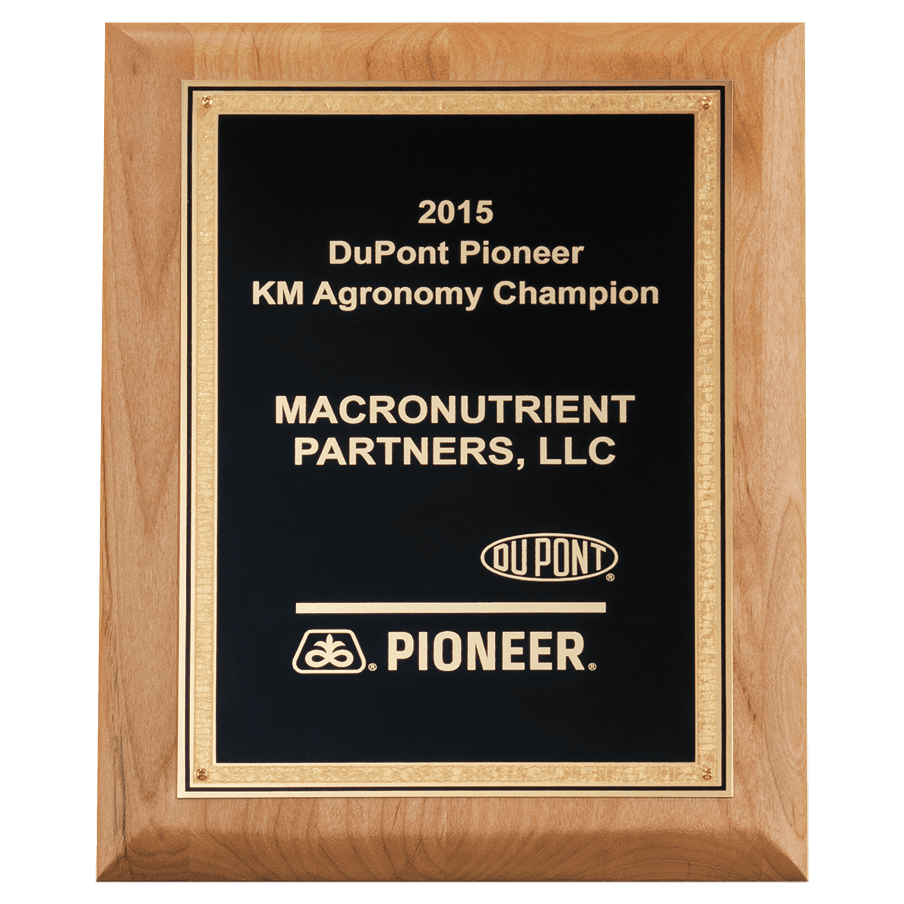 Alder Wood Plaque with Black Textured Gold 8" x 10" Natural Florentine Bordered LaserFX Plate