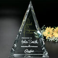 Palisade Award 6