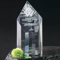 Summit Award 6