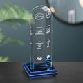 Vision Award 8-1/2