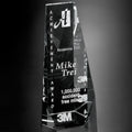 Wedgewood Award 7