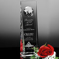 Westby Global Award 10