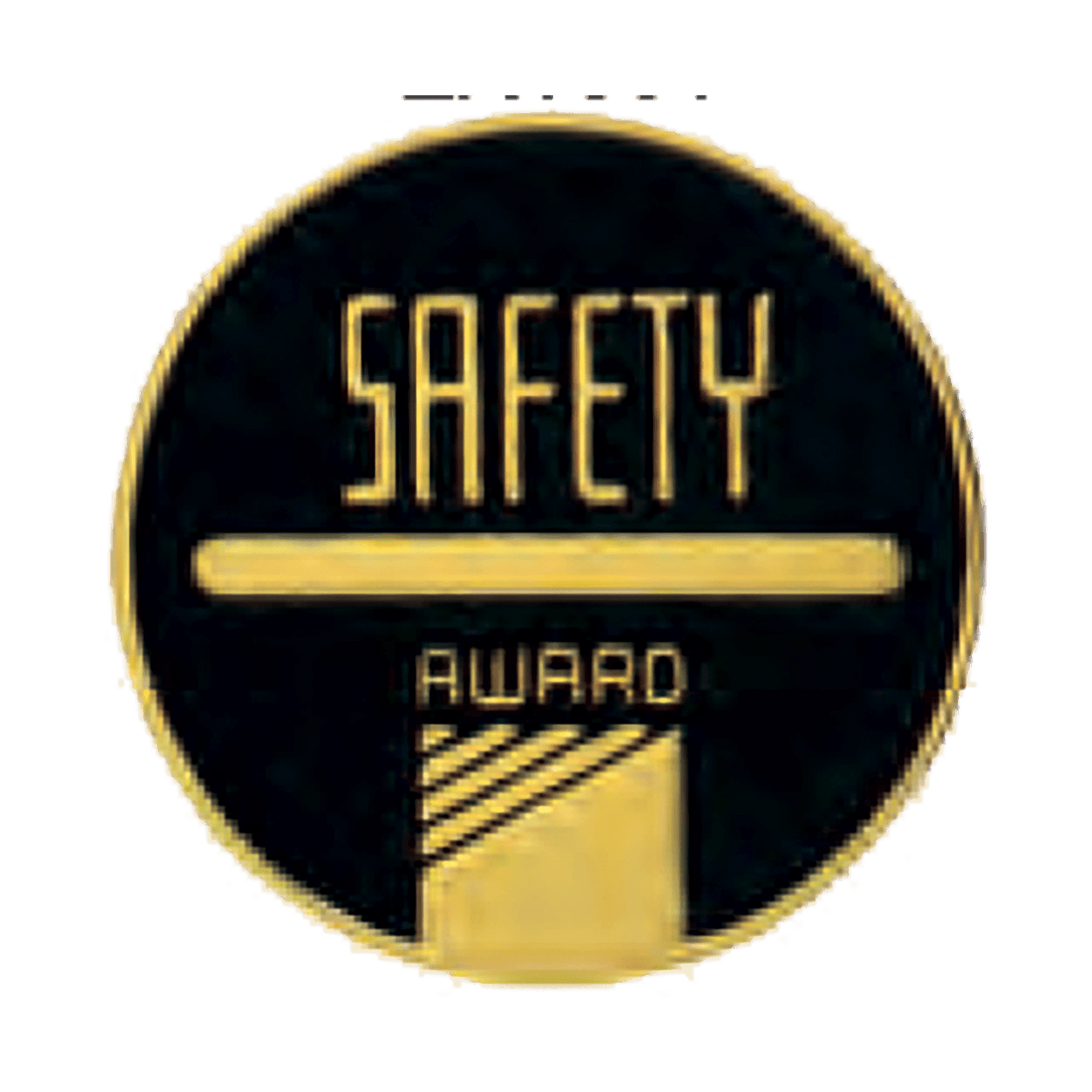2 1/2" Safety CAM Medallion