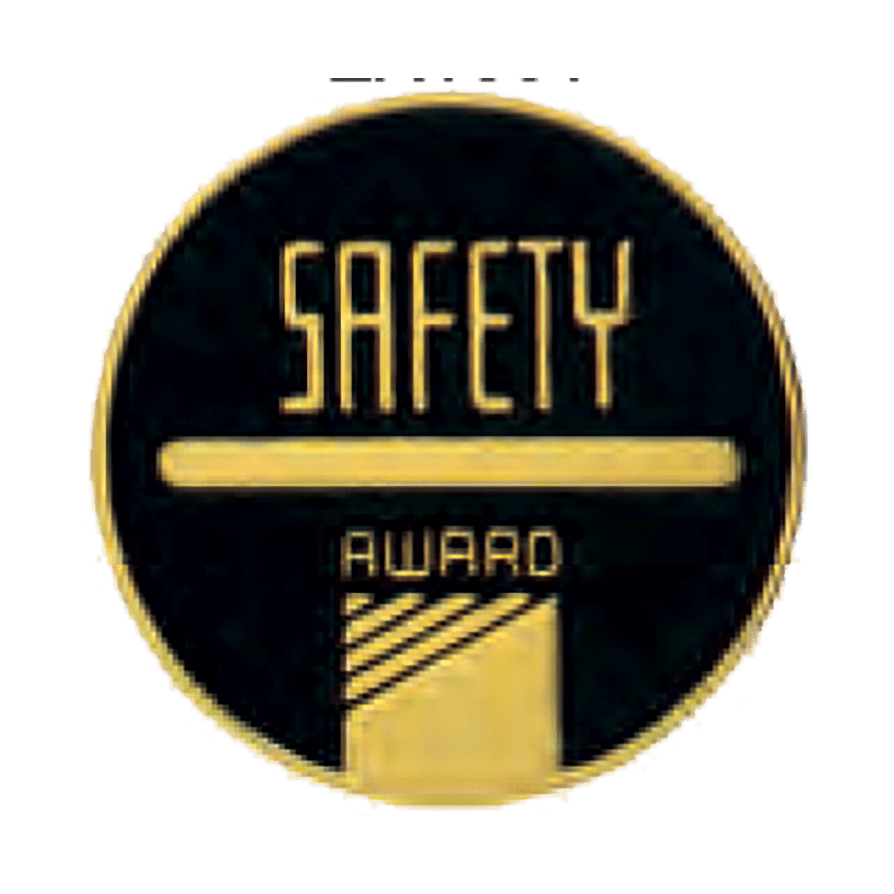 2 1/2" Safety CAM Medallion