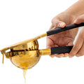 Citrus Juicer