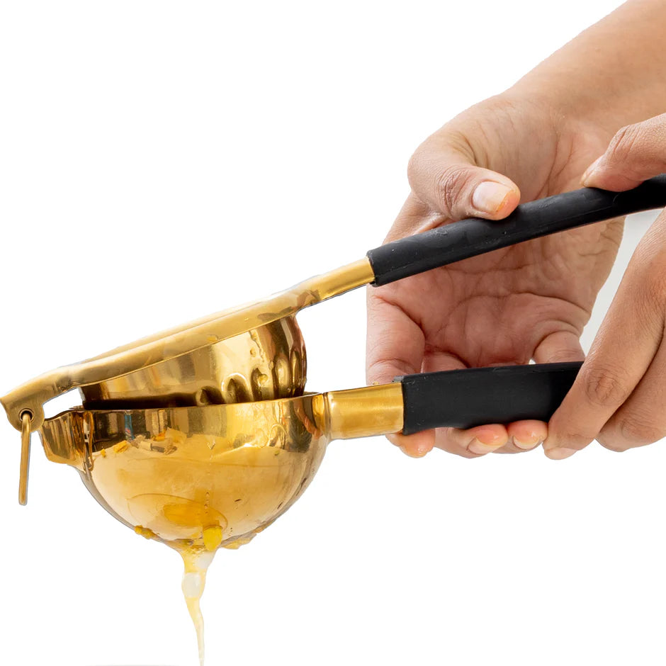 Citrus Juicer